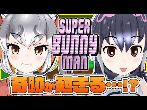 【Super Bunny Man】絶対に笑ってしまう初コラボ【ケープペンギン／シマハイイロギツネ】