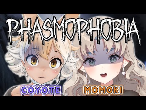 【Phasmophobia】Momoki &amp; Coyo vs Phasmo【#Coyote / #KemoV】