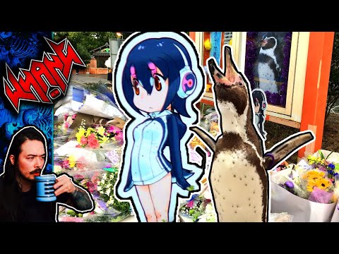 Grape-kun: The Penguin With the Anime Waifu - Tales From the Internet